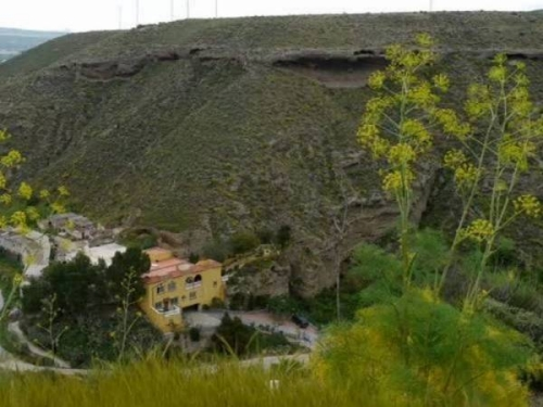 Vista parcial de nuestra finca