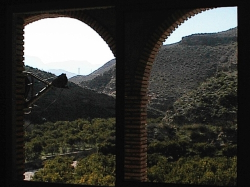 A view from the new terrace onto the plantation (March 3, 2003)