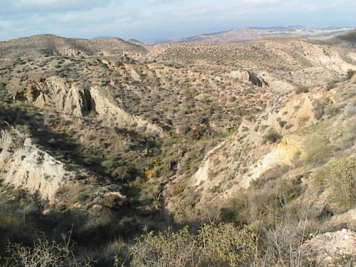 En los alrededores