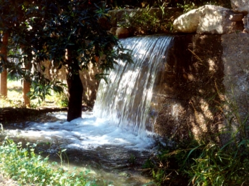 Riego de la plantación