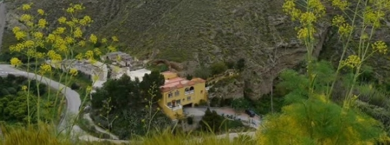 Vista parcial de nuestra finca