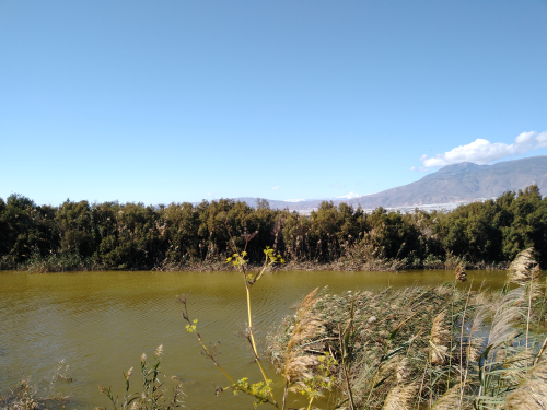 Cañada de las Norias