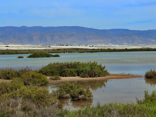 Salinas de Cerrillos