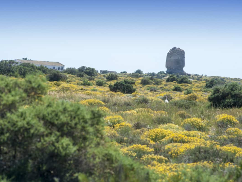 Torre Cerrillos, Llanura Costera