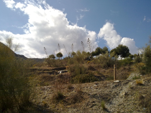 La Parra, Barranco Almerín