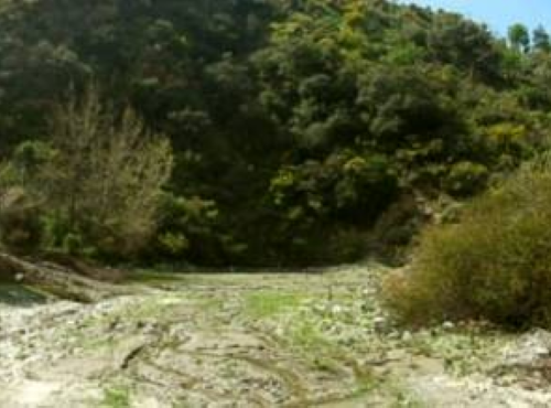 Rambla de Guainos