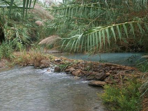 El río Adra