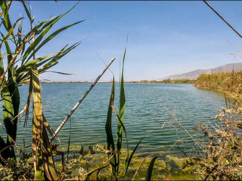 Reserva Natural de Las Albuferas