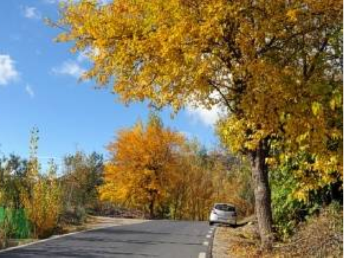Alpujarra almeriense