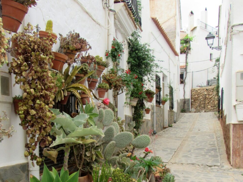 Alpujarra almeriense