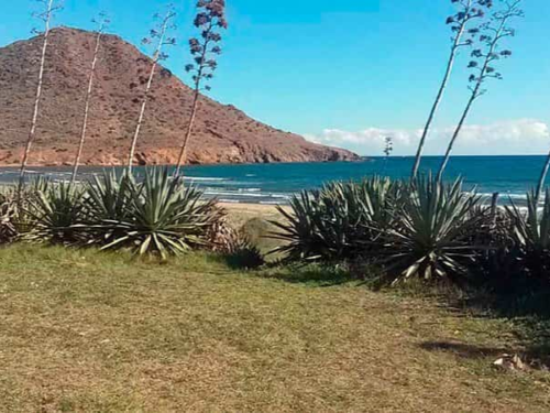 Cabo de Gata, una de las playas naturales