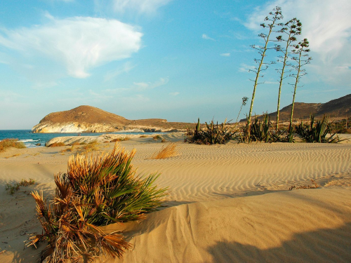 Playa Los Genoveses