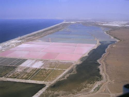 Salinas del Cabo de Gata
