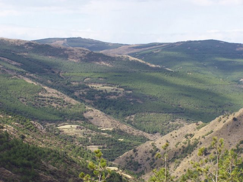 La Sierra de los Filabres en verano