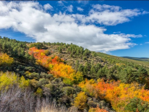 La Sierra de los Filabres en otoño