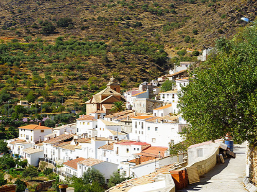 Laroya