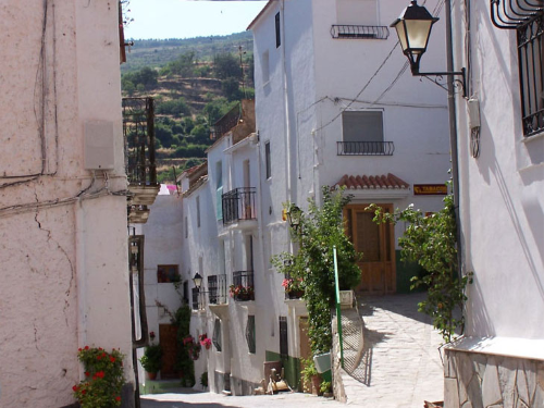 Bacáres