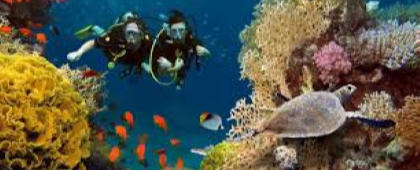 Buceo