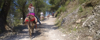 Paseos a caballo y en burro