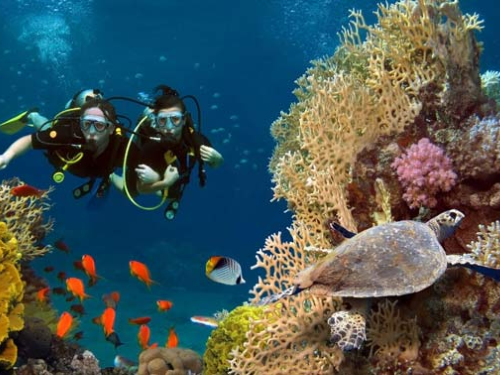 Almería Activa: Buceo