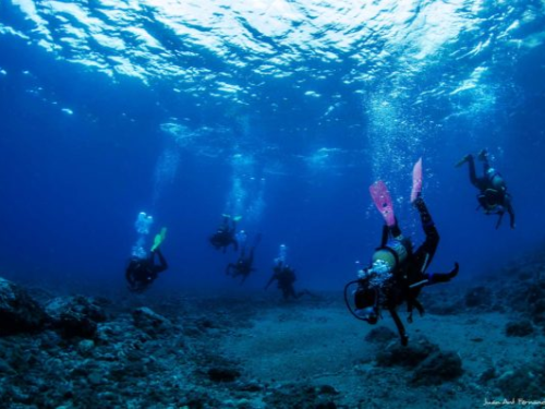 Almería Activa: Buceo