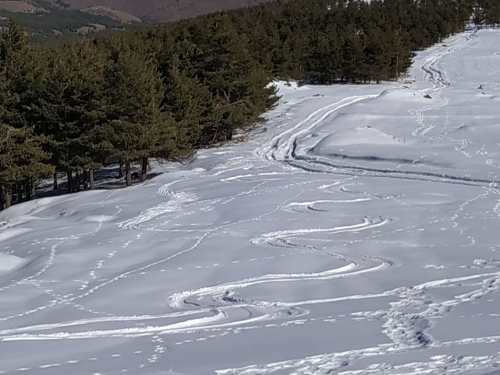 Almería Activa: Esquí