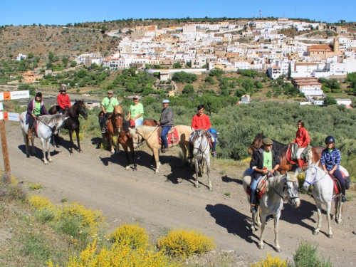 Almería Activa: Paseos a caballo y en burro