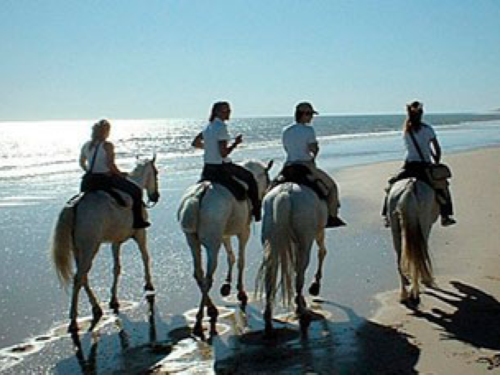 Almería Activa: Paseos a caballo y en burro