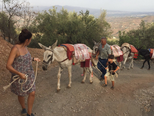 Almería Activa: Paseos a caballo y en burro