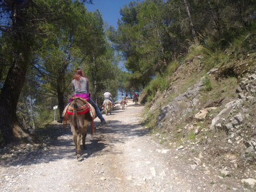 Almería Activa: Paseos a caballo y en burro