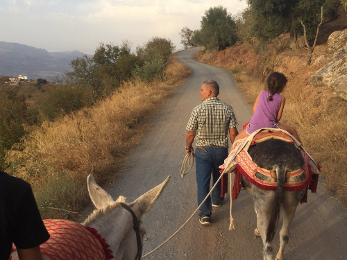 Almería Activa: Paseos a caballo y en burro