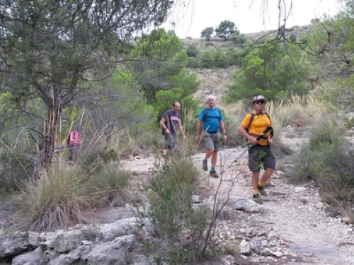 Almería Activa: Paseos a caballo y en burro