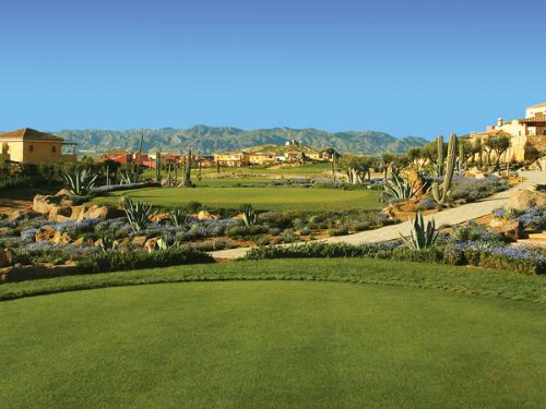  Desert Spring Golf Club