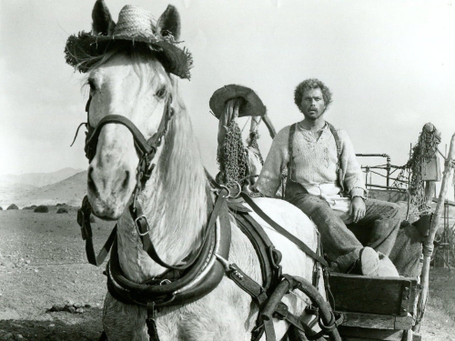 Franco Nero, escena de “El oro negro” (1976)