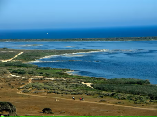 Playa Serena (Roquetas de Mar)