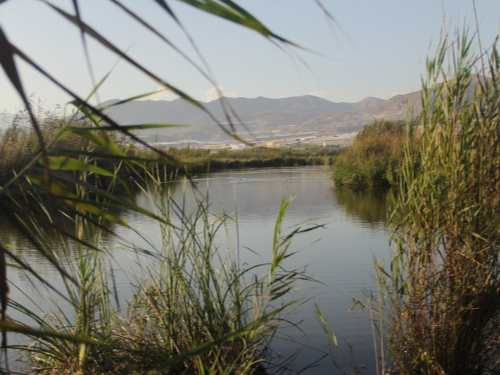La Albufera (Adra)