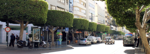 Paseo de Almería Paseo de Almería
